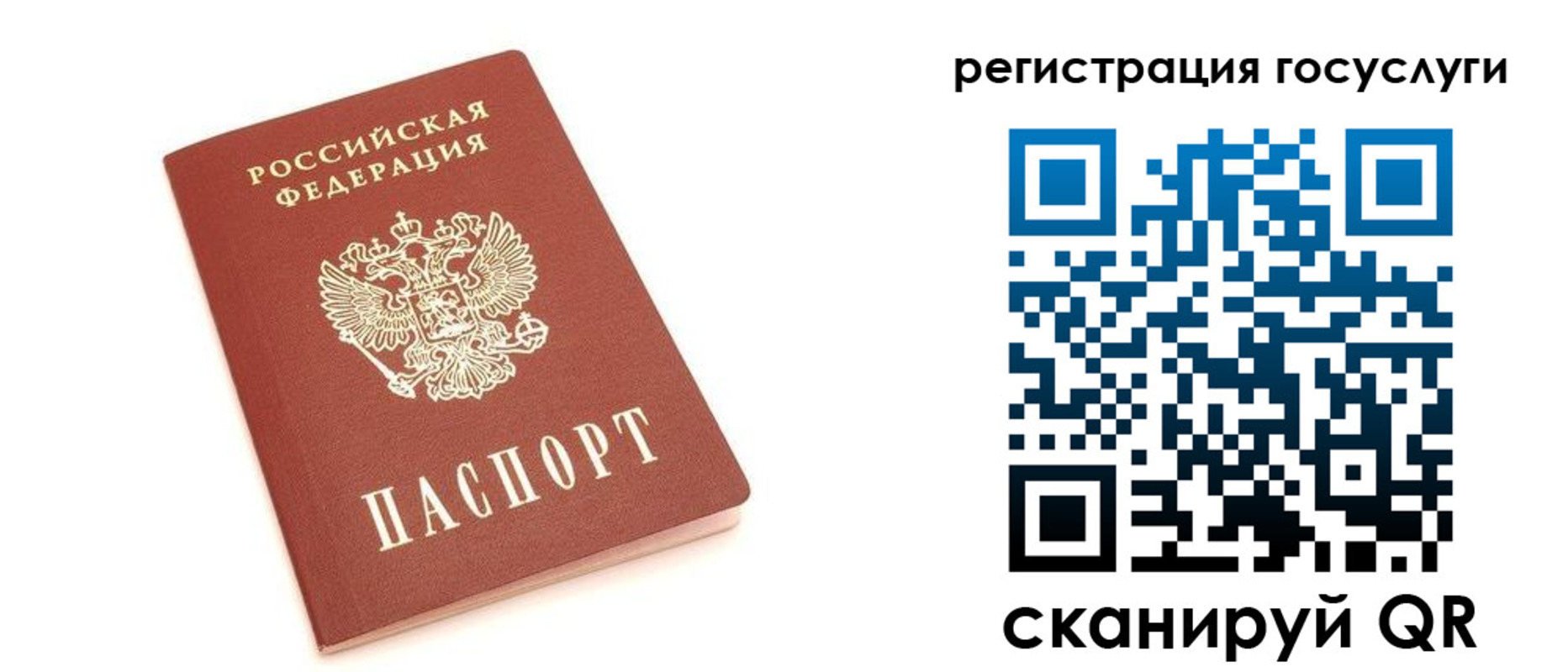 прописка 2025 в Звенигово