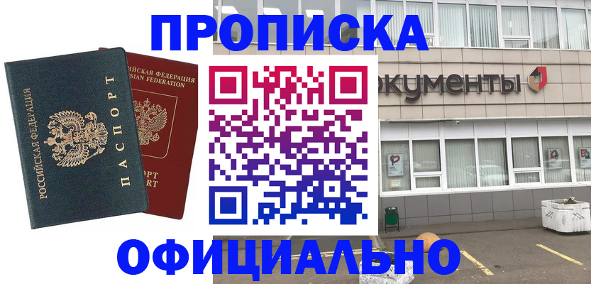 прописка поиск в Звенигово